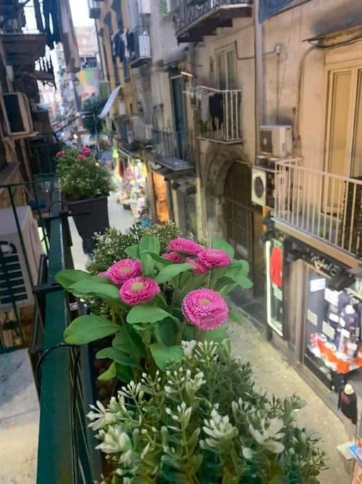 La Casa Di Patta A Spaccanapoli מראה חיצוני תמונה