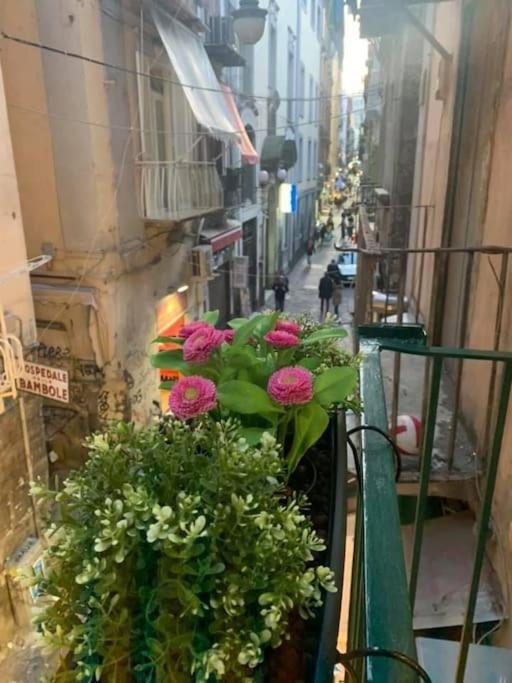 La Casa Di Patta A Spaccanapoli מראה חיצוני תמונה
